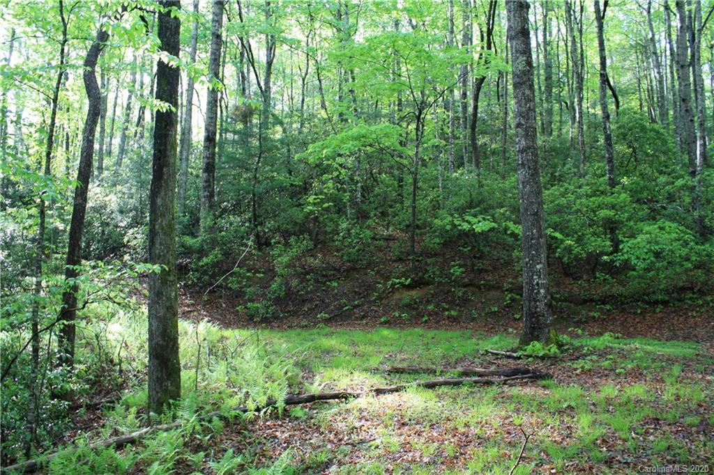 0 Line Runner Ridge Road, Unit 43 19 Rosman, NC 28772 - Photo 12 of 21 Gallery Image 12