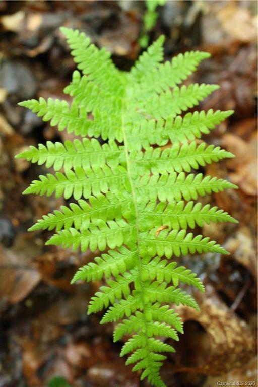 0 Line Runner Ridge Road, Unit 43 19 Rosman, NC 28772 - Photo 8 of 21 Gallery Image 8