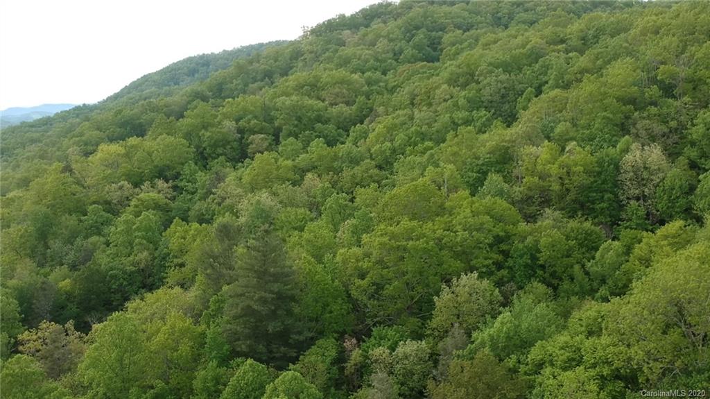 0 Line Runner Ridge Road, Unit 43 19 Rosman, NC 28772 - Photo 10 of 21 Gallery Image 10