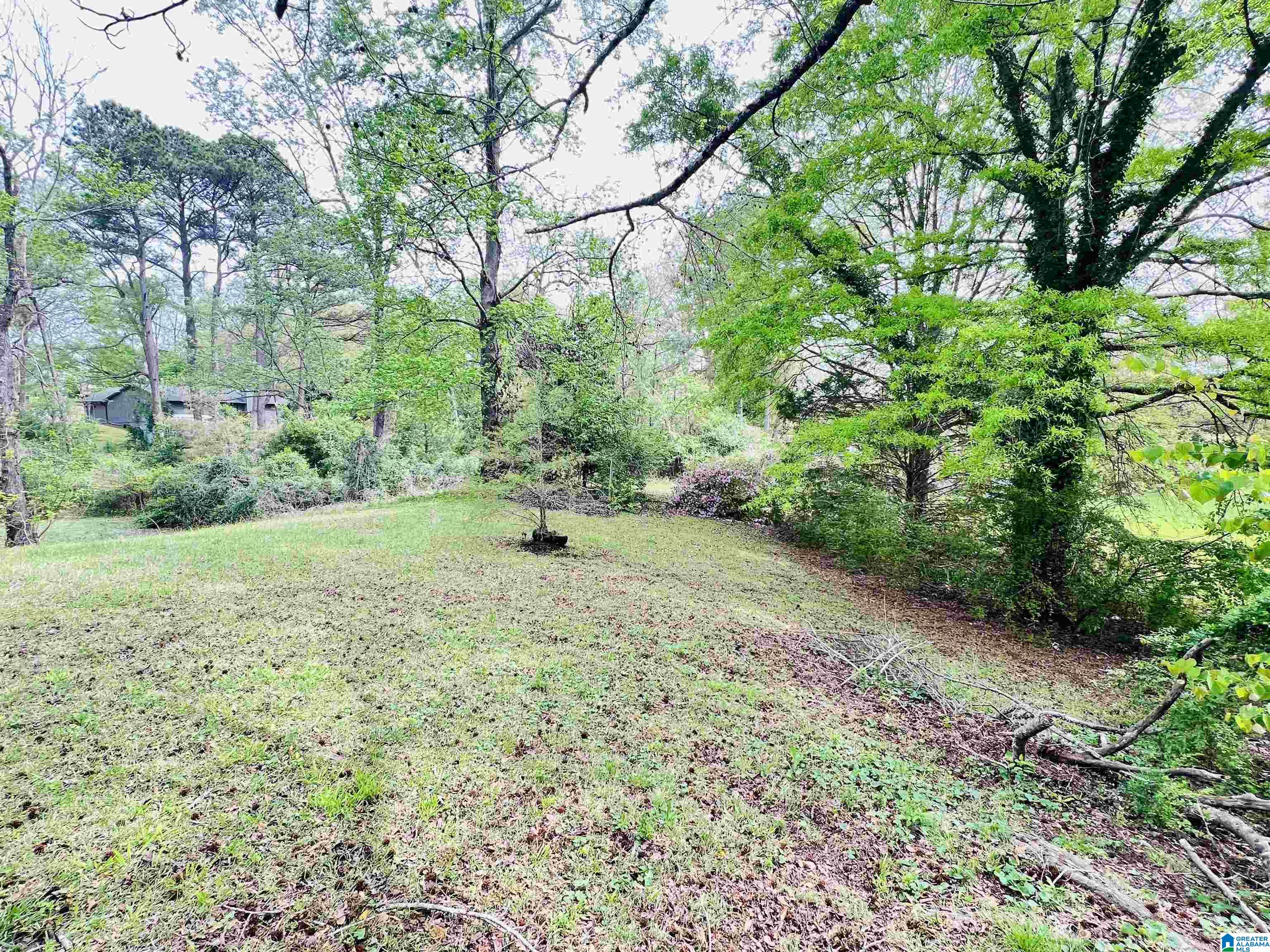 809 Cedar Springs Road Weaver, AL 36277 - Photo 3 of 17