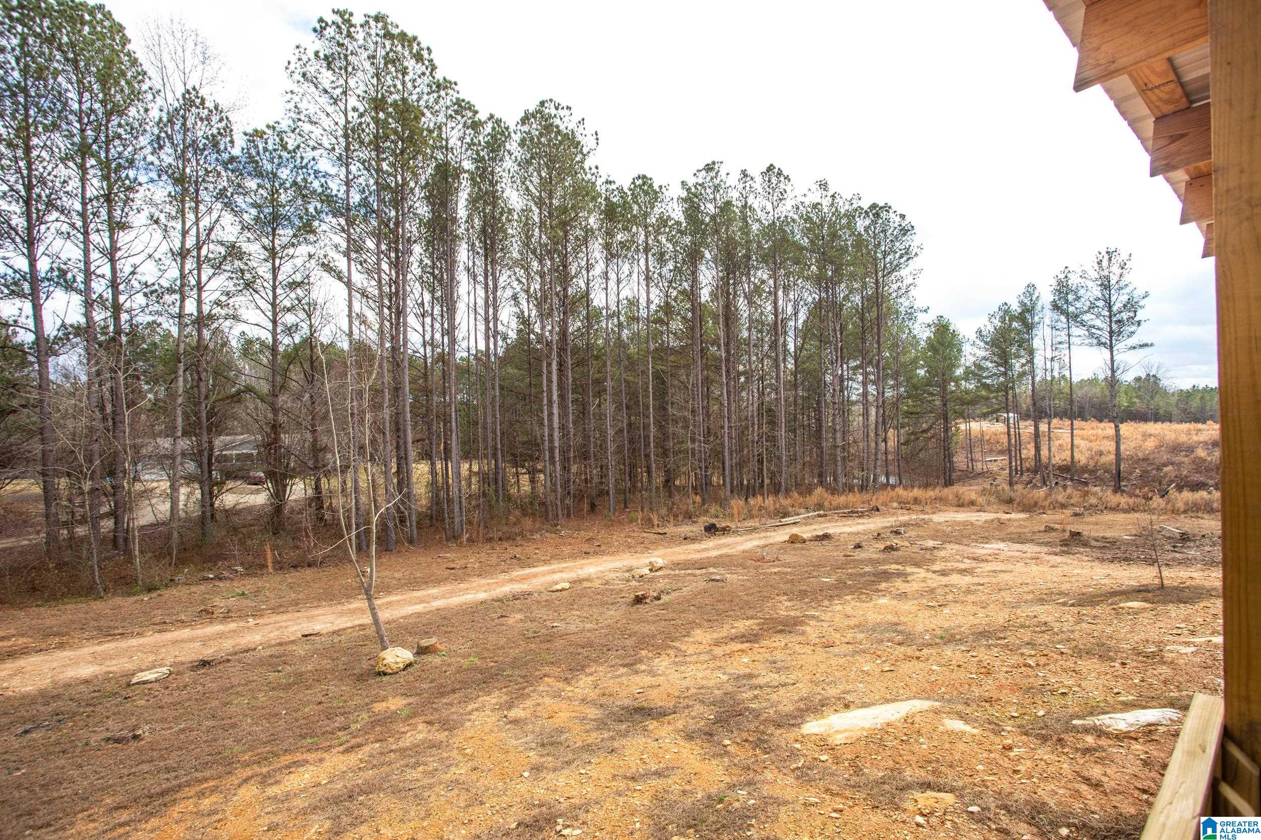 2395 County Road 91 Fruithurst, AL 36262 - Photo 12 of 39