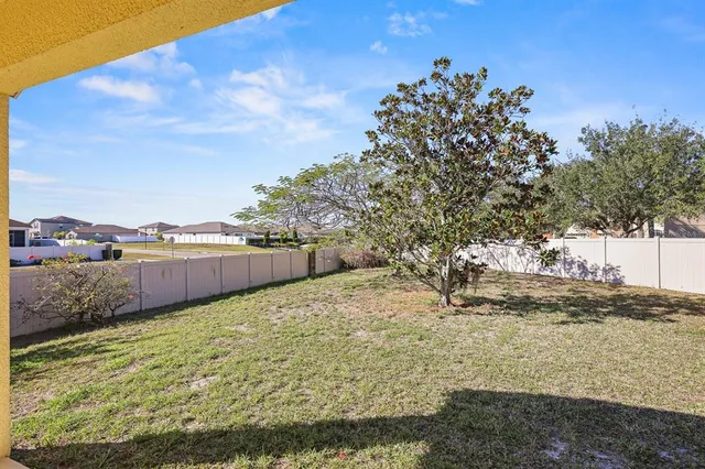 a view of a yard with an tree