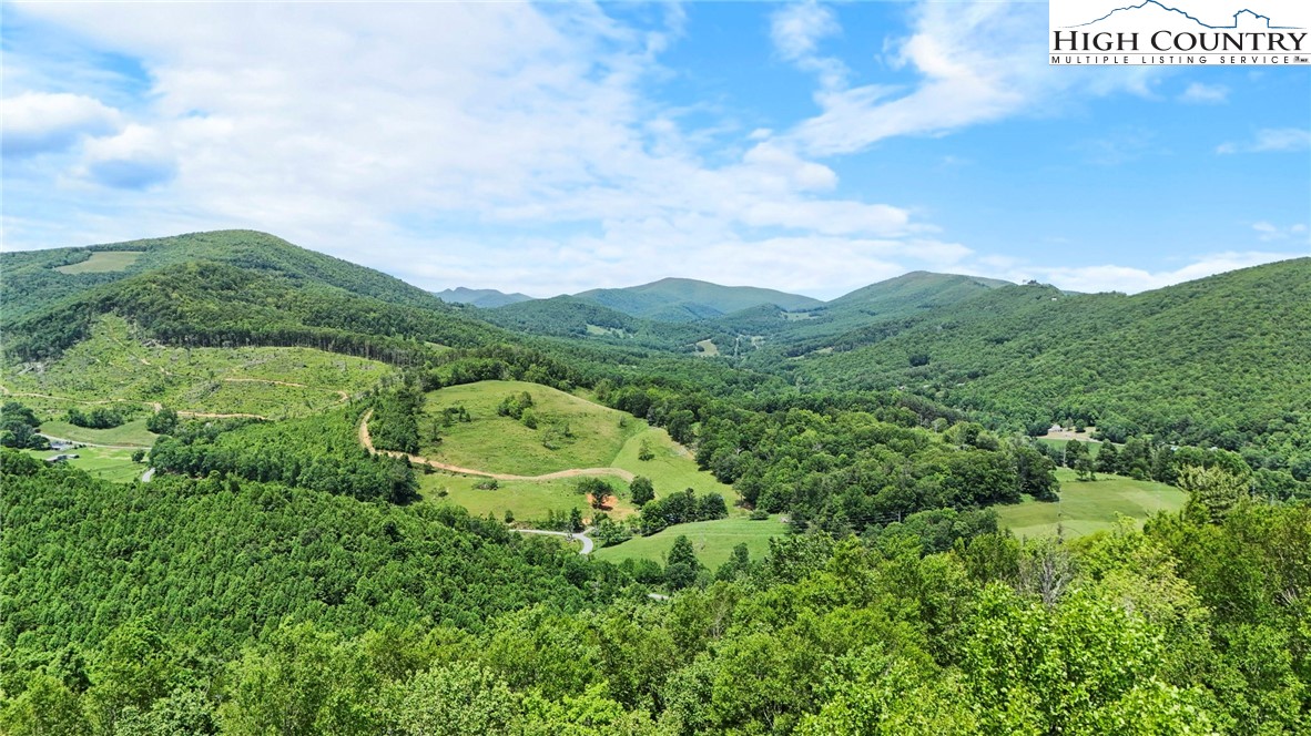 T-1 Grace Mountain Road Todd, NC 28684 - Photo 25 of 28 a view of a city with lush green forest