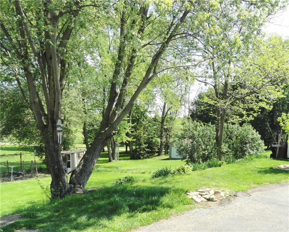 2720 Dutch Ridge Road Beaver, PA 15009 - Photo 9 of 10 Beautiful Yard