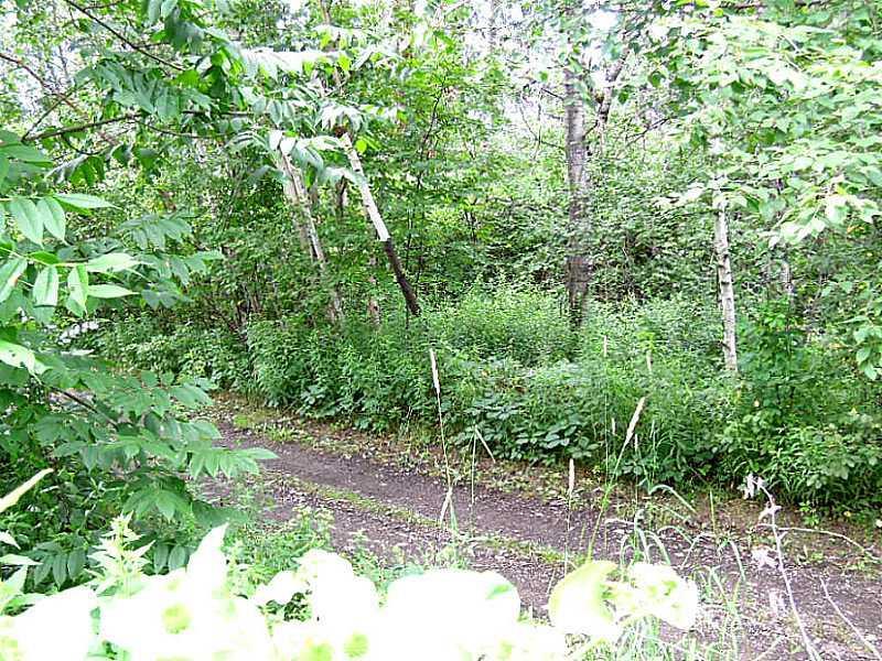 39 East Presque Isle Road Caribou, ME 04736 - Photo 28 of 32 Back Yard. Easy access to the...