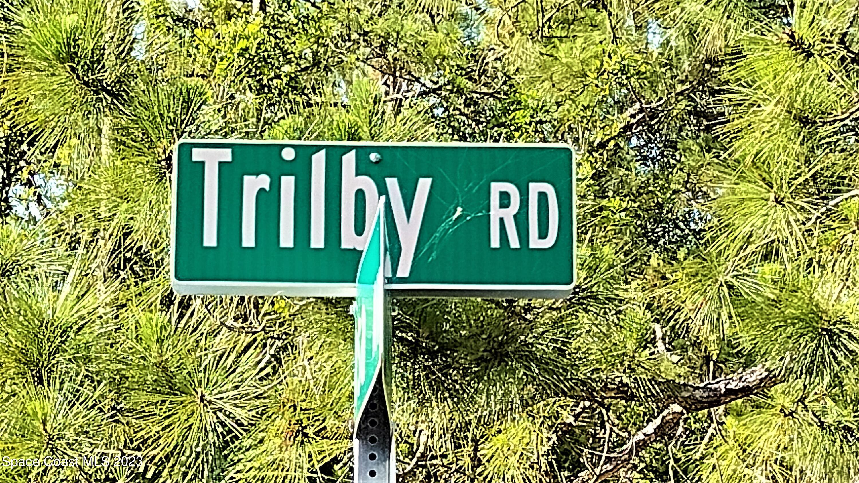 263 Trilby Road Southwest Palm Bay, FL 32908 - Photo 6 of 33 a sign broad on the side of a building