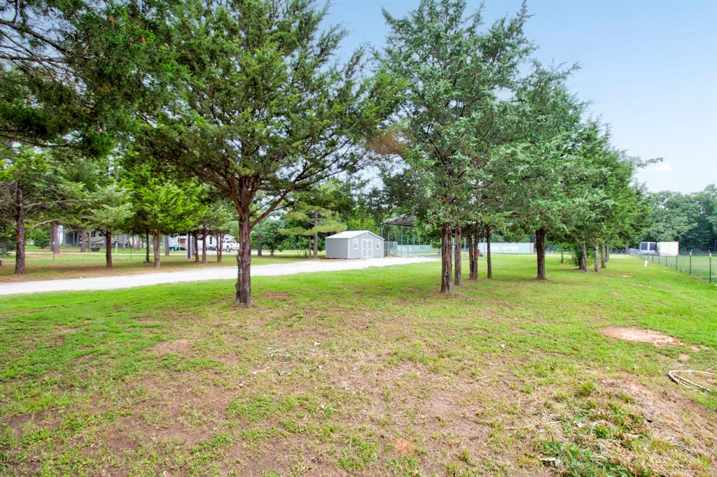 1469 Cedar Mills Road Gordonville, TX 76245 - Photo 3 of 12 Expansive green space featuring mature trees bordering a gravel pathway