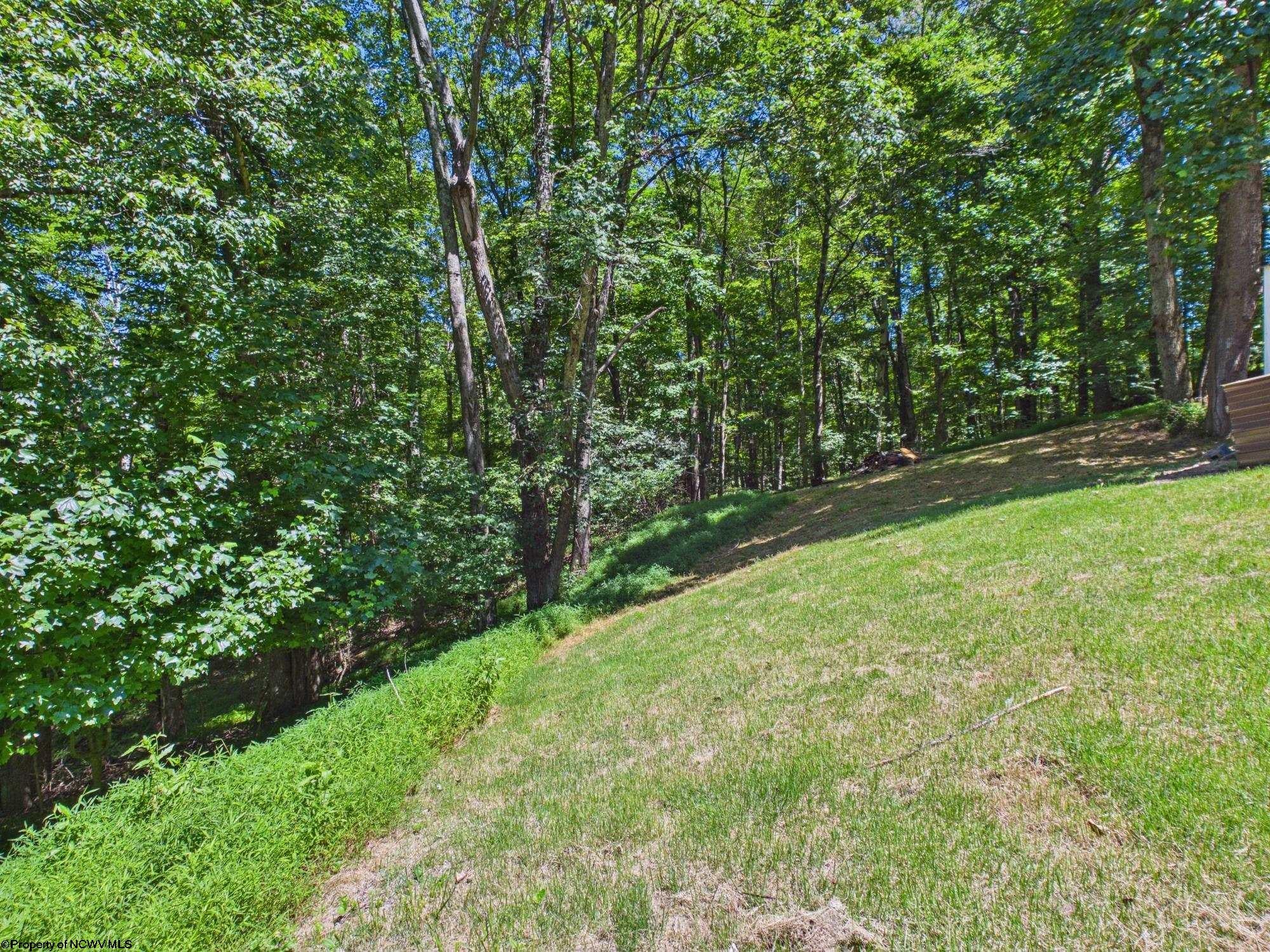 365 Shumaker Hill Buckhannon, WV 26201 - Photo 7 of 29 Gallery Image 7