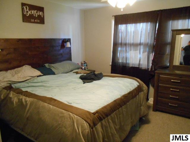 390 Richard Street Spring Arbor, MI 49283 - Photo 7 of 22 Photo 8