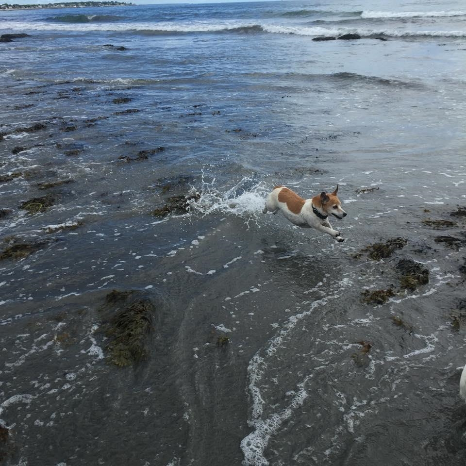 93 Seabury Hampton, NH 03842 - Photo 40 of 45