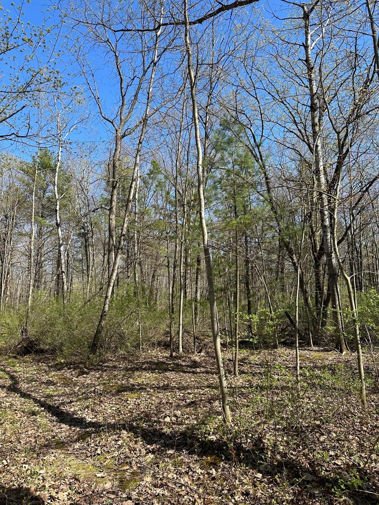 Lot 2 East Pine Tree Road Sturgeon Bay, WI 54235 - Photo 3 of 4