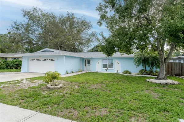a view of a house with a yard and a large tree