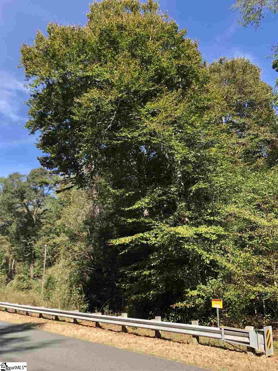 0 Durbin Church Road Gray Court, SC 29645 - Photo 2 of 5