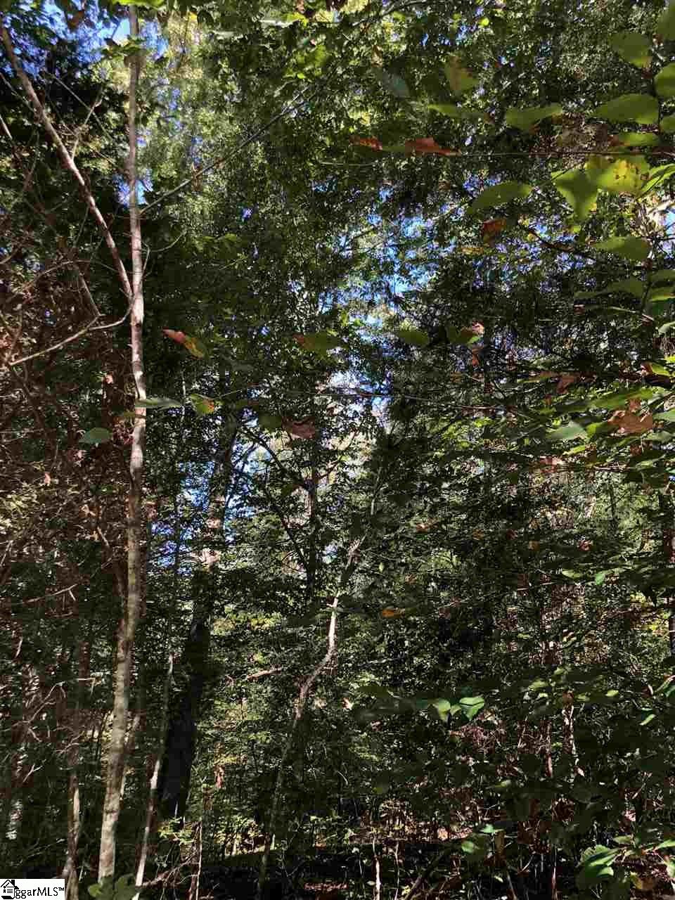 0 Durbin Church Road Gray Court, SC 29645 - Photo 3 of 5