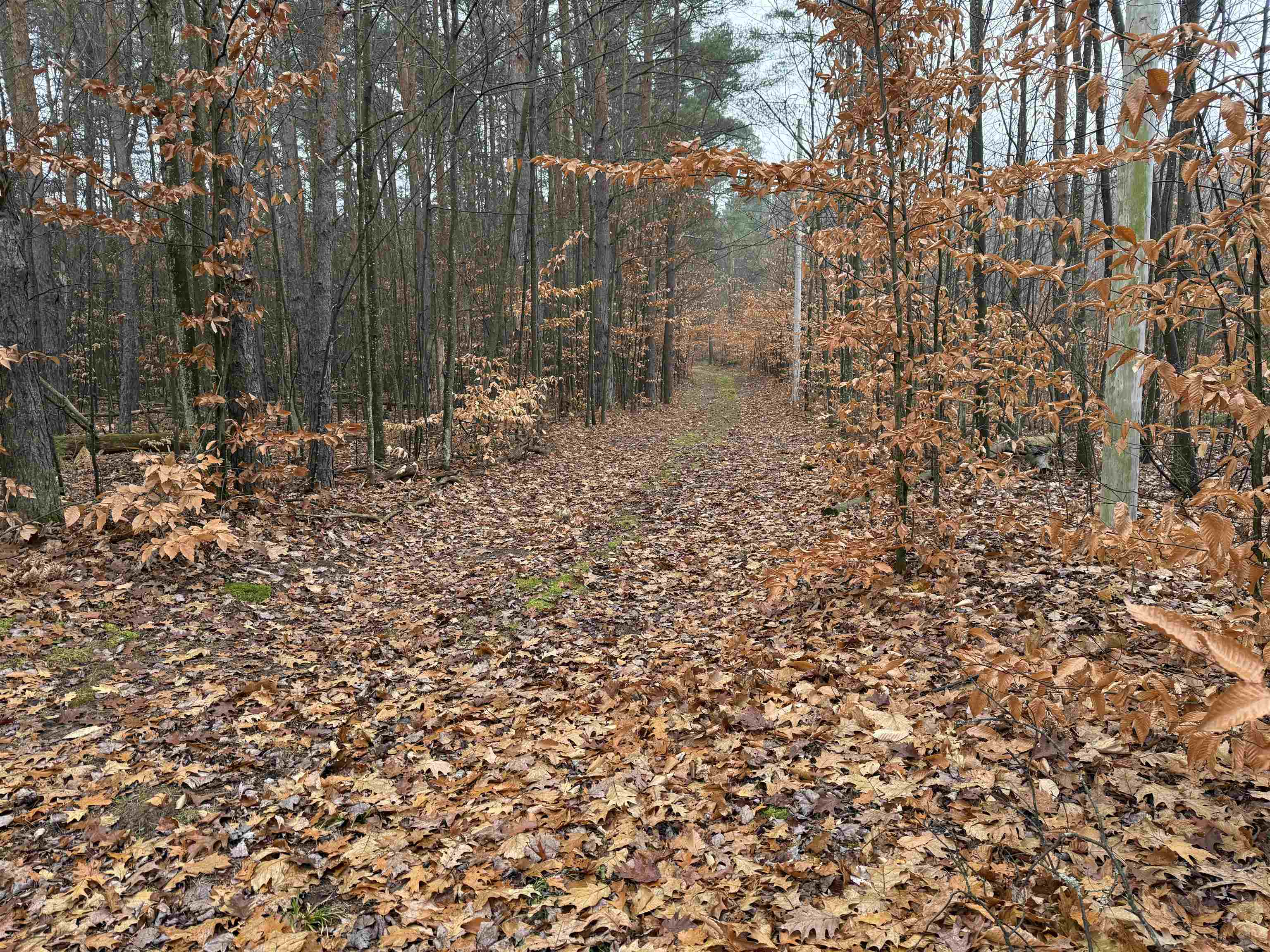 9544 West 34 Road Harrietta, MI 49638 - Photo 25 of 26