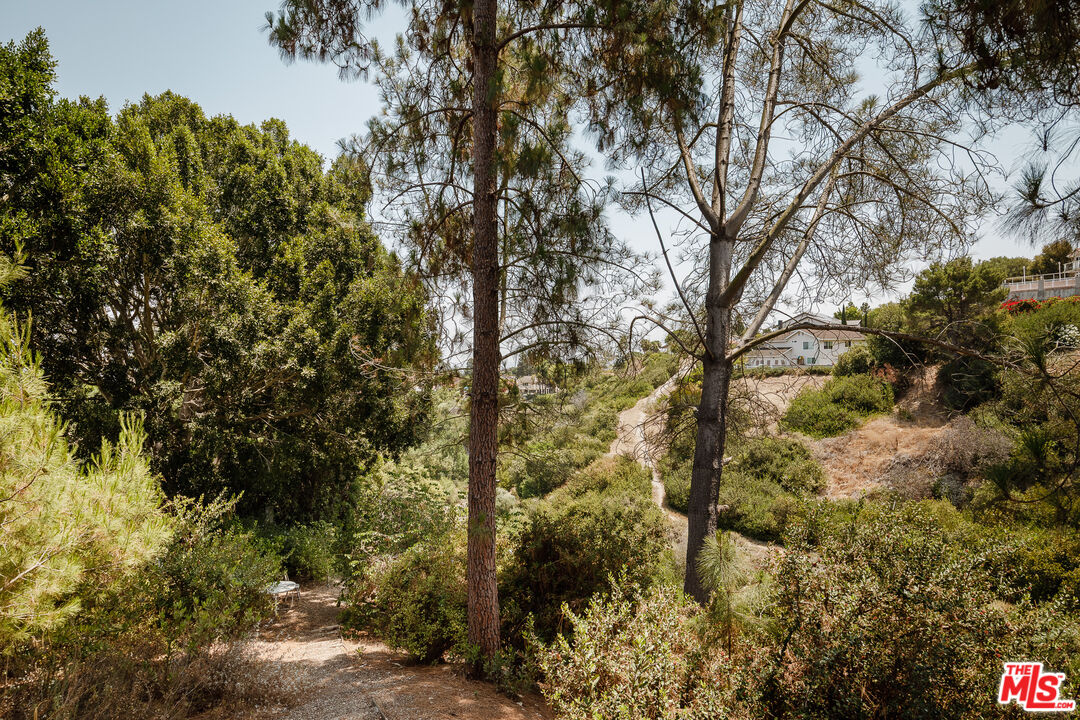 2 Seahurst Road Rolling Hills Estates, CA 90274 - Photo 15 of 54 a view of a yard with a tree