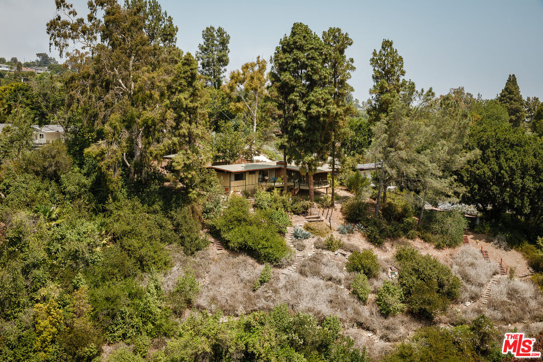 2 Seahurst Road Rolling Hills Estates, CA 90274 - Photo 49 of 54 a view of a yard with plants and trees