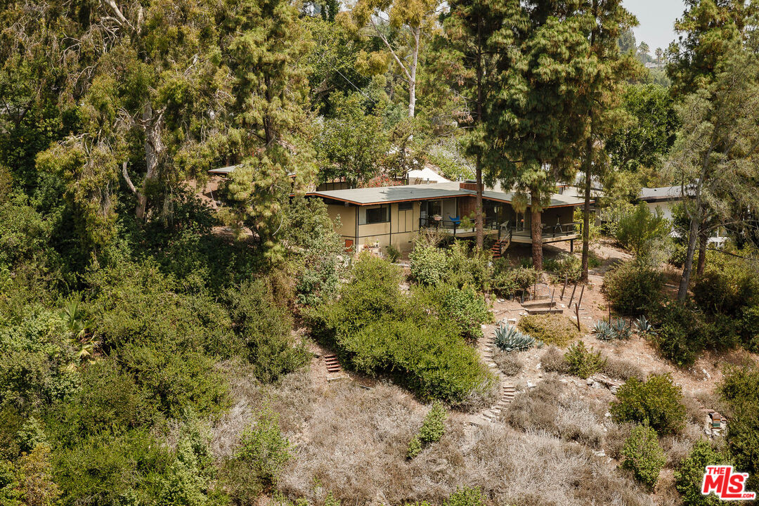 2 Seahurst Road Rolling Hills Estates, CA 90274 - Photo 50 of 54 a view of a yard with plants and large trees