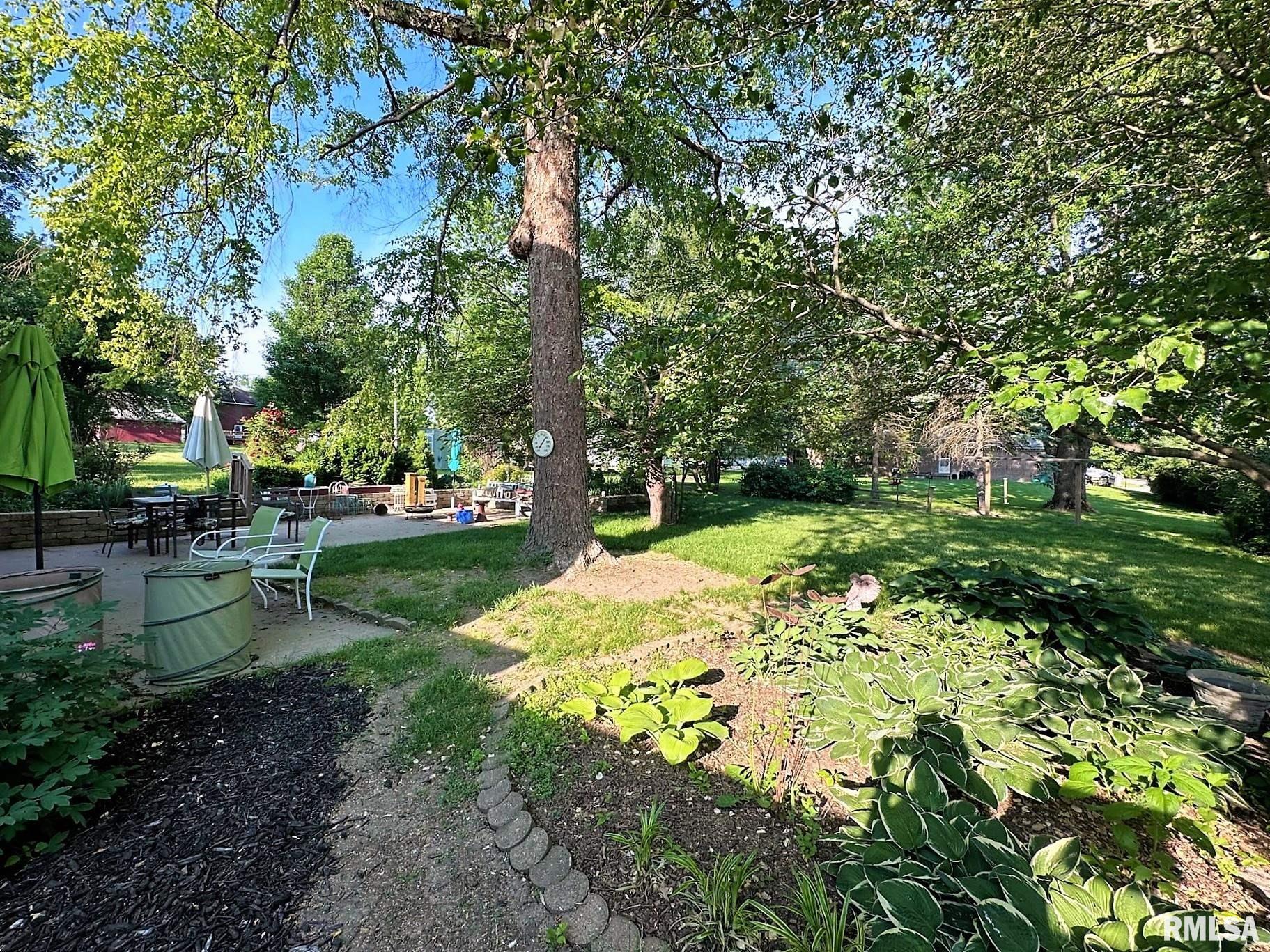 538 North Center Street Oneida, IL 61467 - Photo 12 of 59