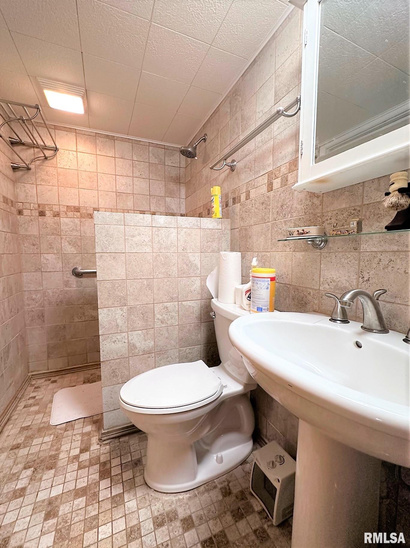 538 North Center Street Oneida, IL 61467 - Photo 50 of 59