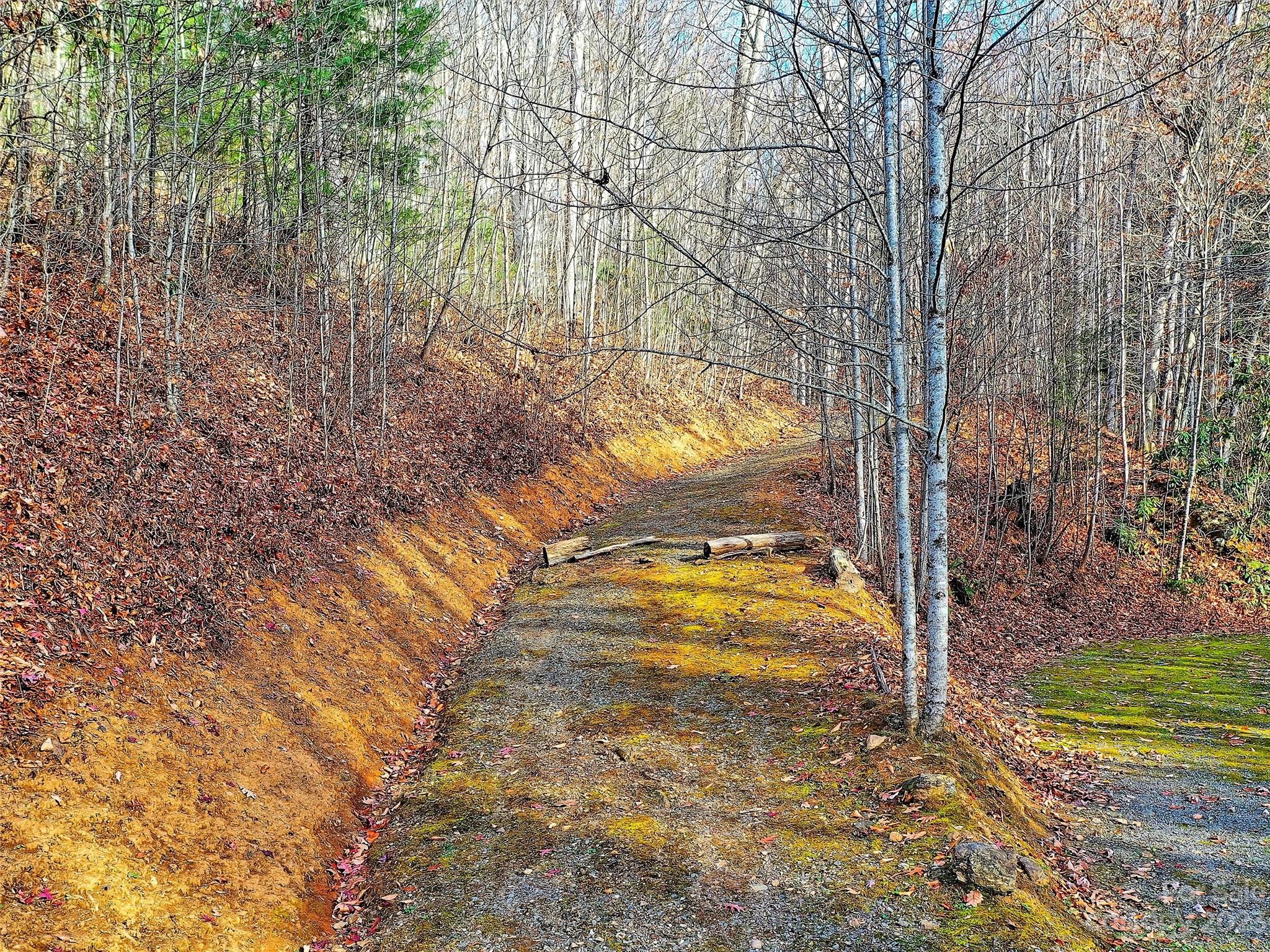 Lot 00 Ridge Haven Road Sylva, NC 28779 - Photo 11 of 16 Gallery Image 11