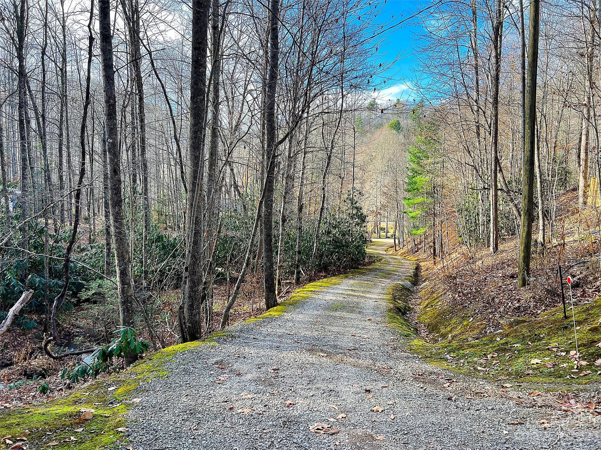 Lot 00 Ridge Haven Road Sylva, NC 28779 - Photo 12 of 16 Gallery Image 12