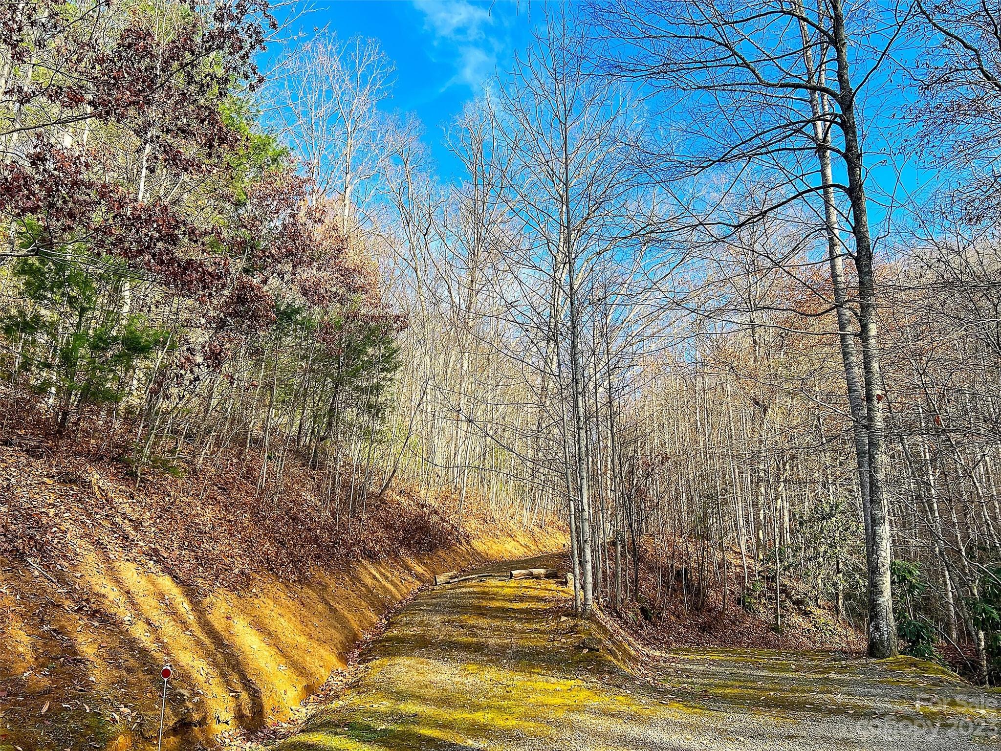 Lot 00 Ridge Haven Road Sylva, NC 28779 - Photo 13 of 16 Gallery Image 13