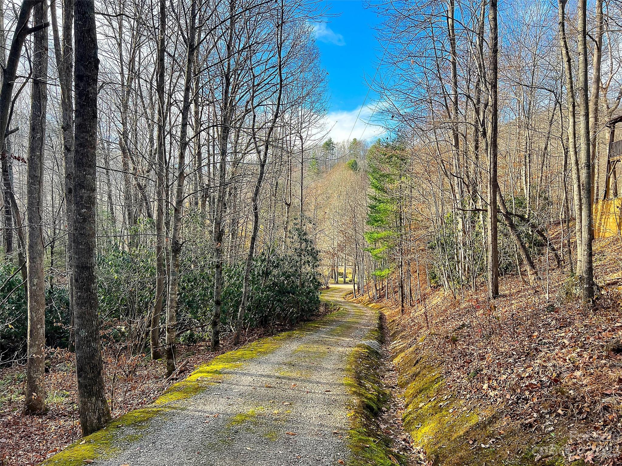 Lot 00 Ridge Haven Road Sylva, NC 28779 - Photo 14 of 16 Gallery Image 14