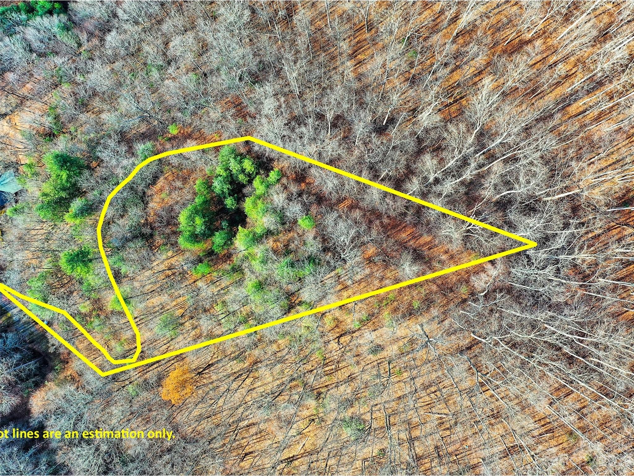 Lot 00 Ridge Haven Road Sylva, NC 28779 - Photo 2 of 16 Gallery Image 2
