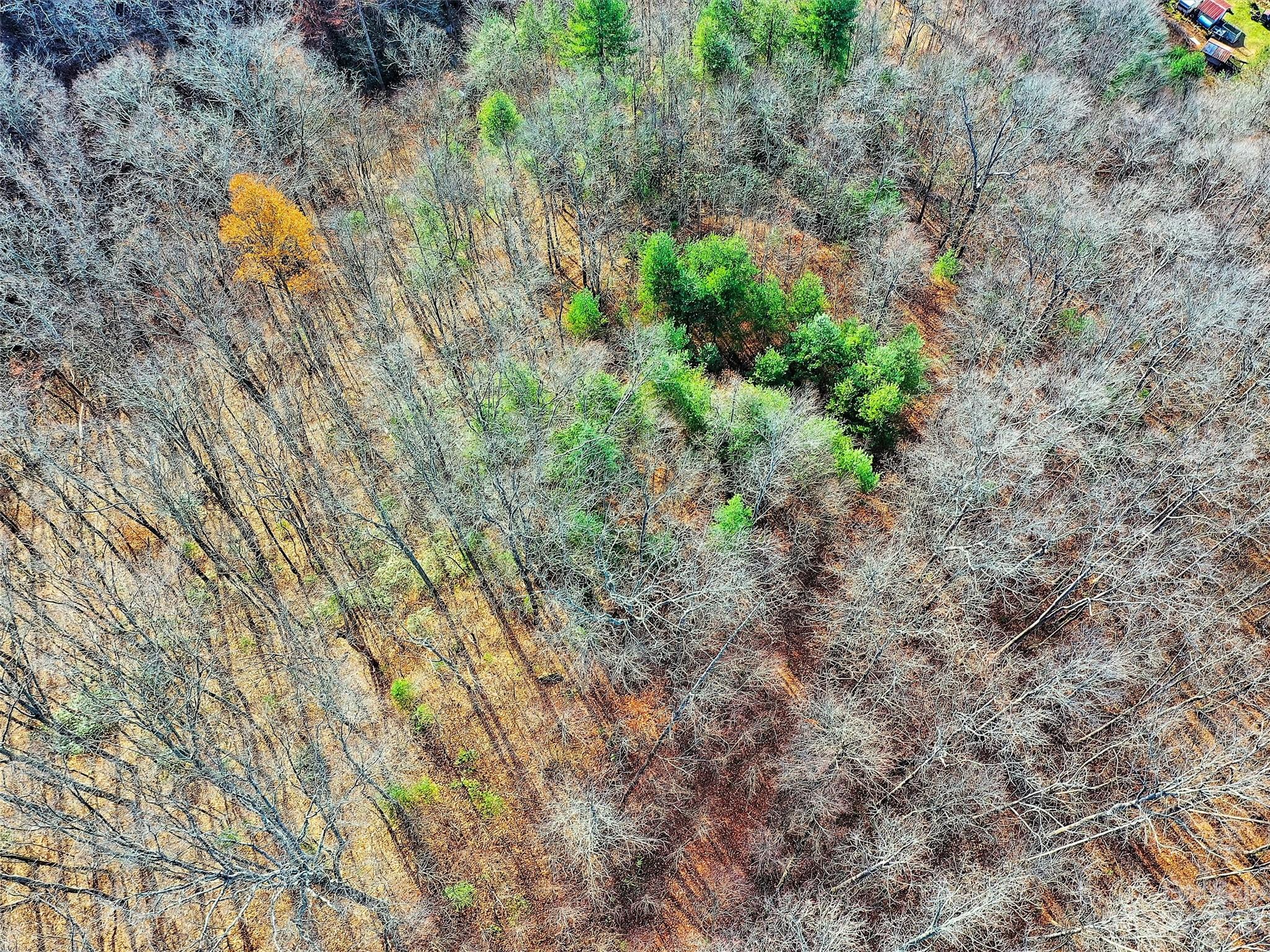 Lot 00 Ridge Haven Road Sylva, NC 28779 - Photo 5 of 16 Gallery Image 5