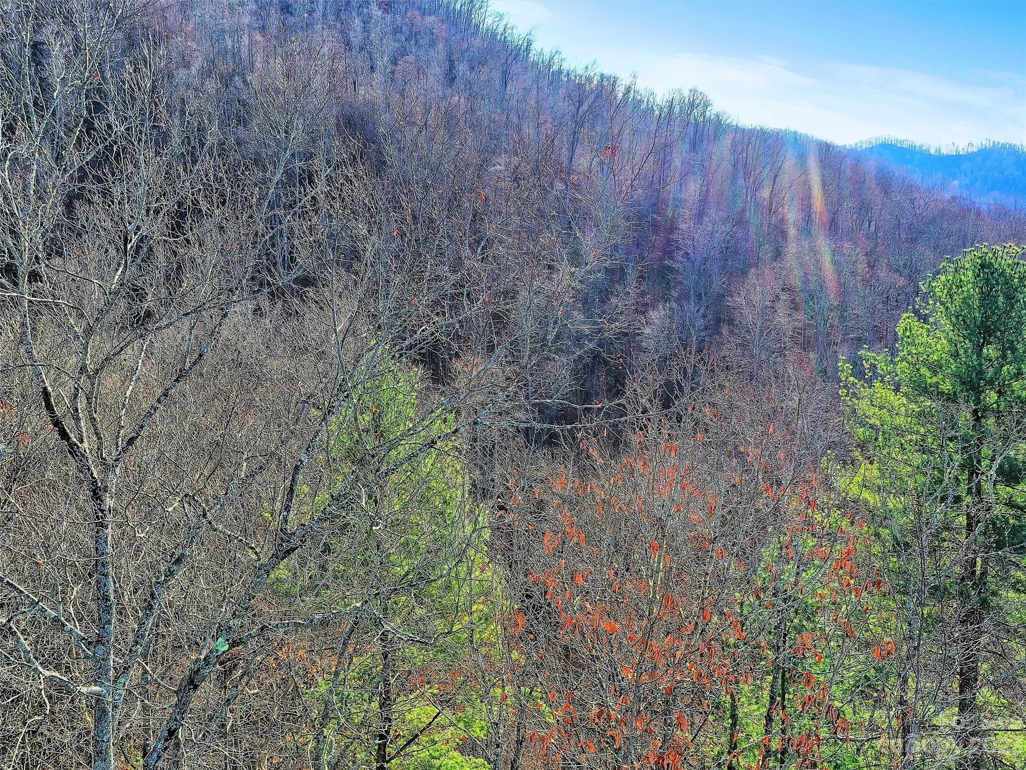 Lot 00 Ridge Haven Road Sylva, NC 28779 - Photo 6 of 16 Gallery Image 6