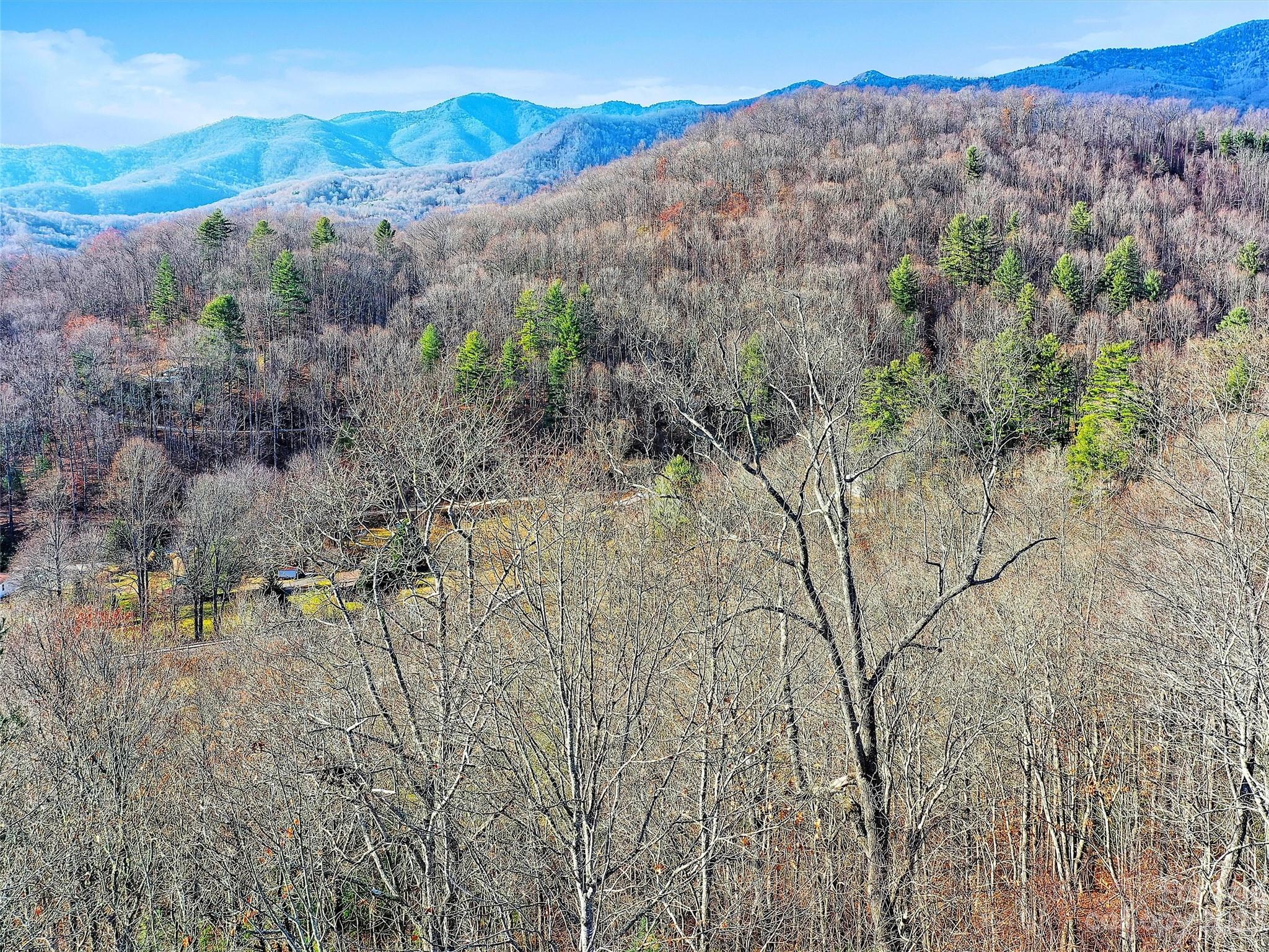 Lot 00 Ridge Haven Road Sylva, NC 28779 - Photo 8 of 16 Gallery Image 8