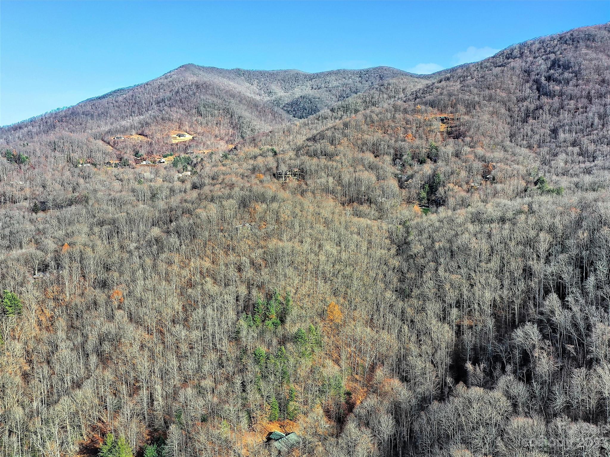 Lot 00 Ridge Haven Road Sylva, NC 28779 - Photo 9 of 16 Gallery Image 9