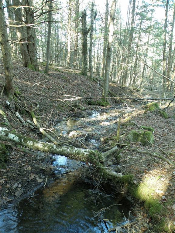 Lot 13 Pullen Road Garland, ME 04939 - Photo 7 of 19 Photo