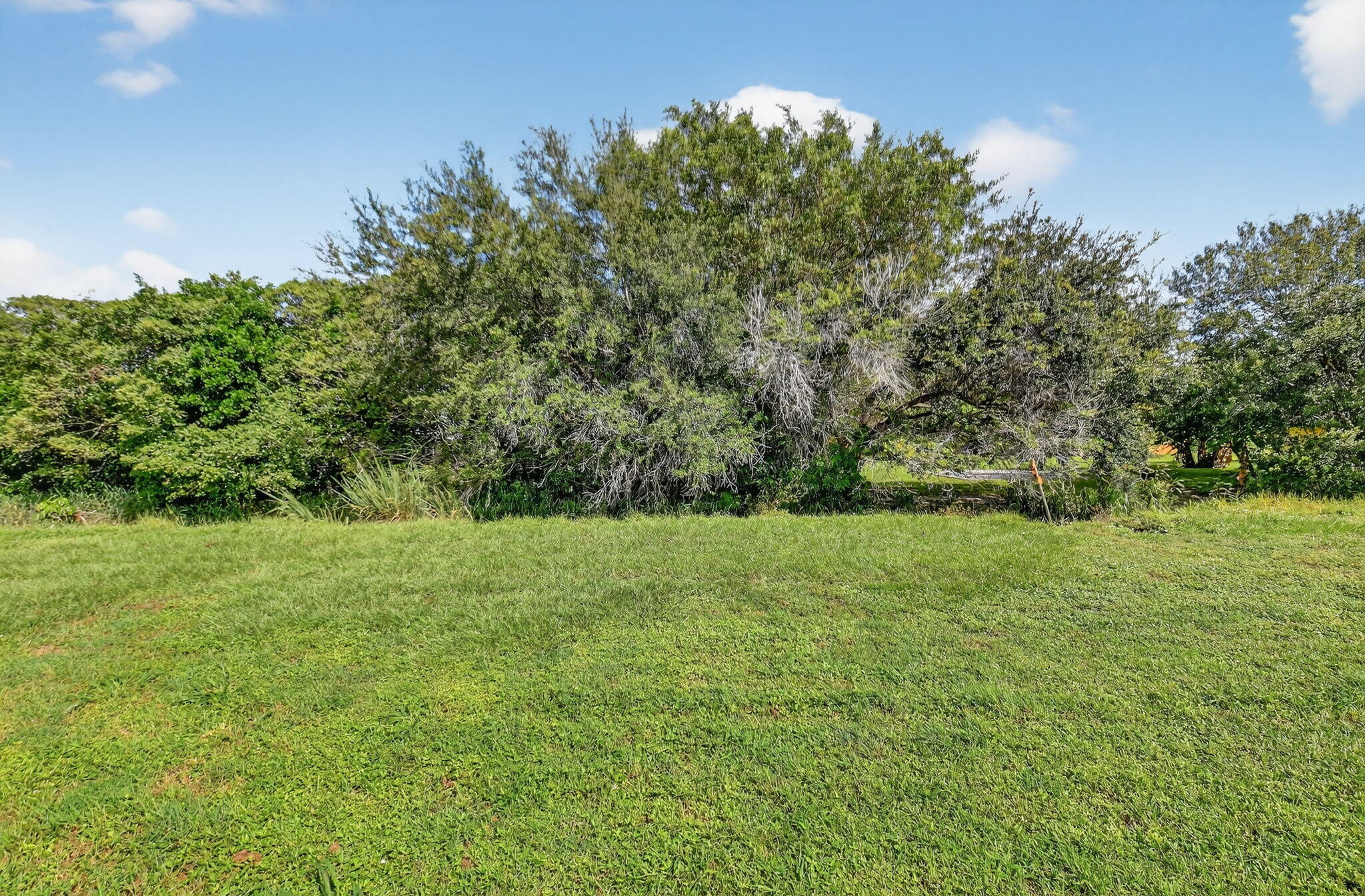 4101 Northwest 2nd Lane Delray Beach, FL 33445 - Photo 35 of 47 a view of outdoor space and yard