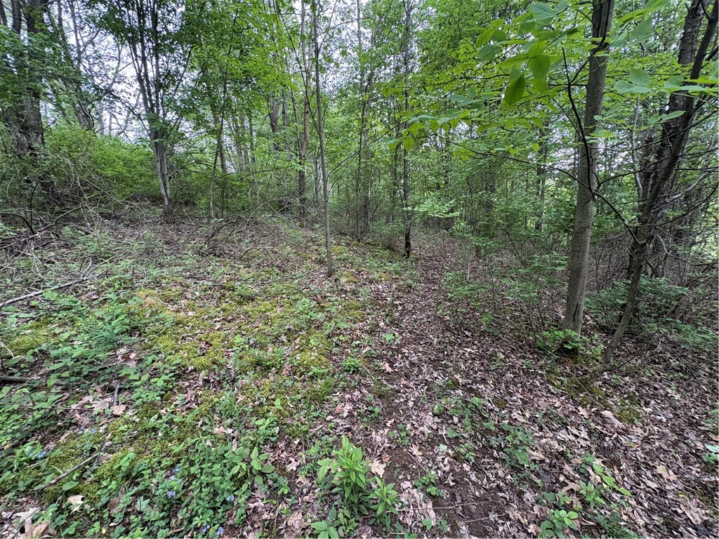 36 County Road Guilford, NY 13780 - Photo 34 of 38