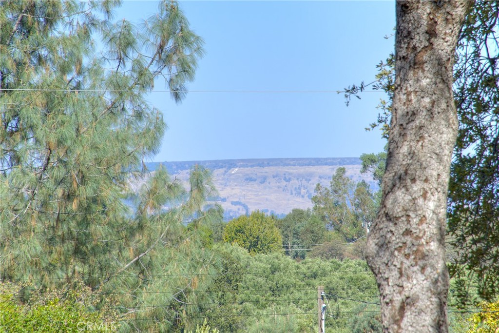 263 Mission Olive Road Oroville, CA 95966 - Photo 40 of 61 Gallery Image 40