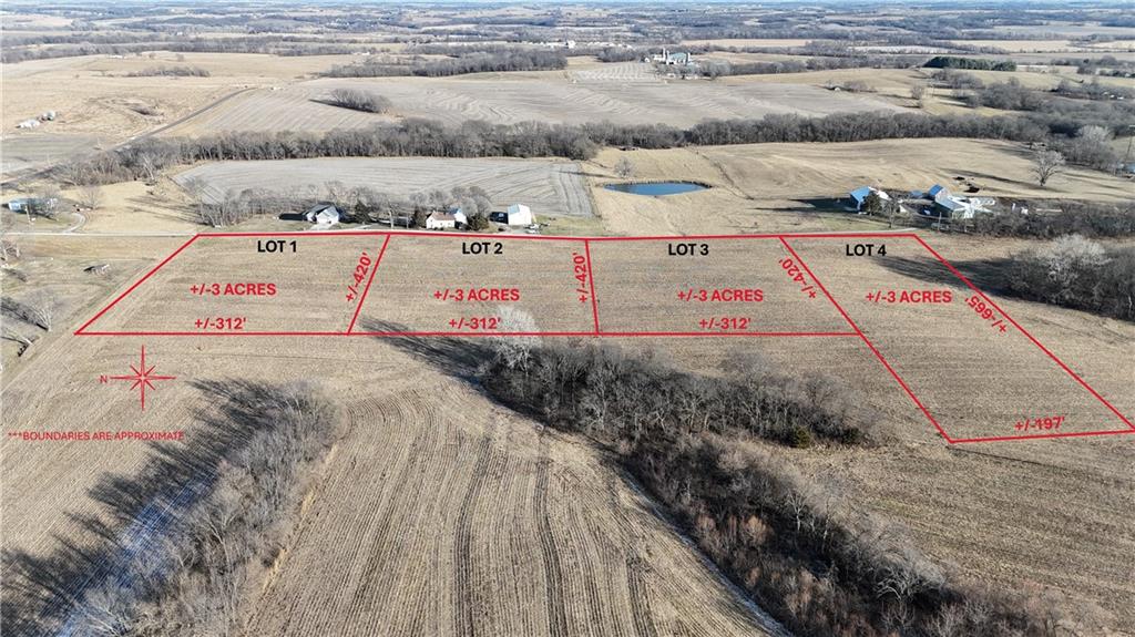 Lot 4 Private Drive Cosby, MO 64436 - Photo 4 of 7