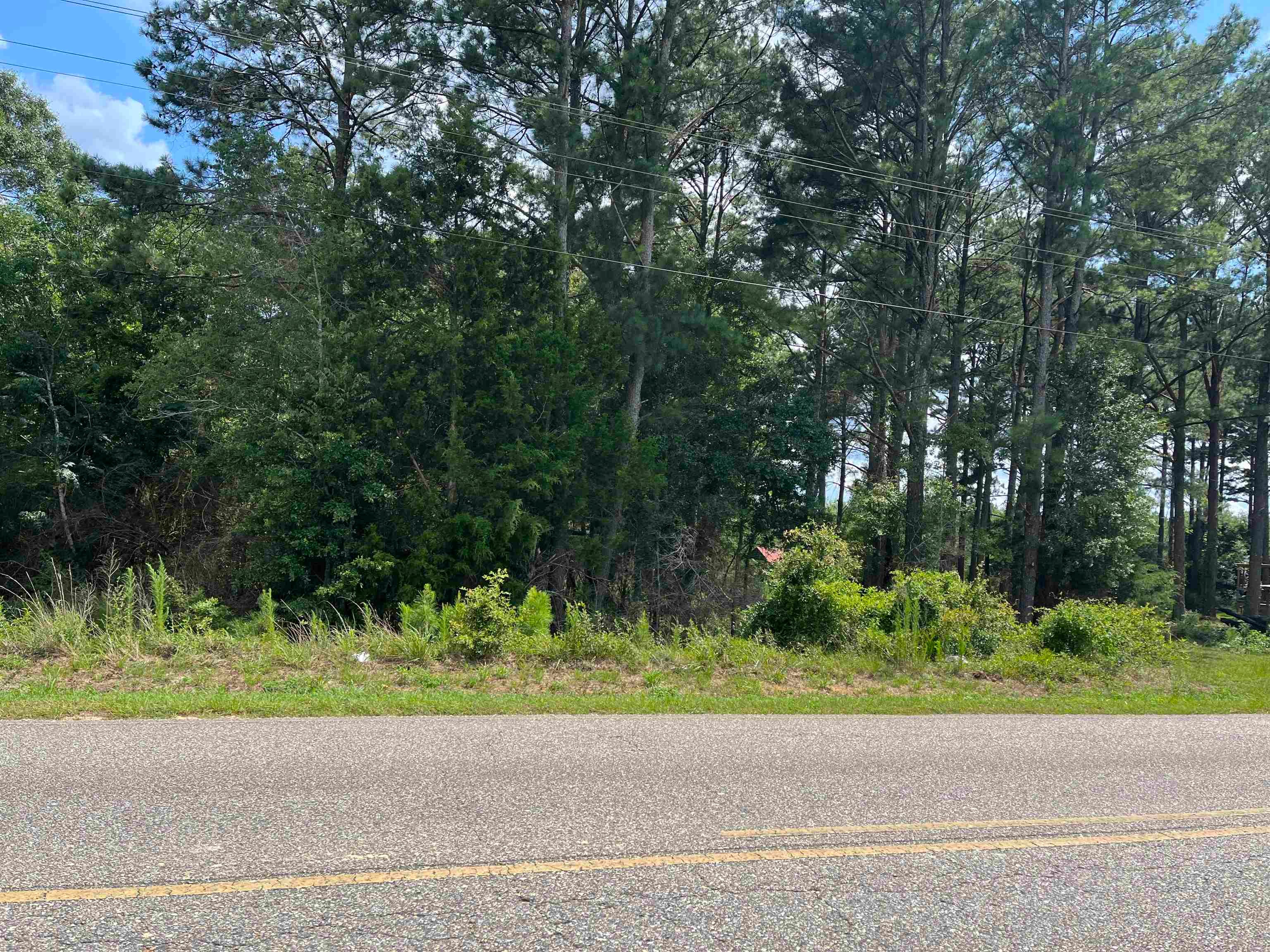 0 Airport Road Andalusia, AL 36421 - Photo 3 of 5 Gallery Image 3