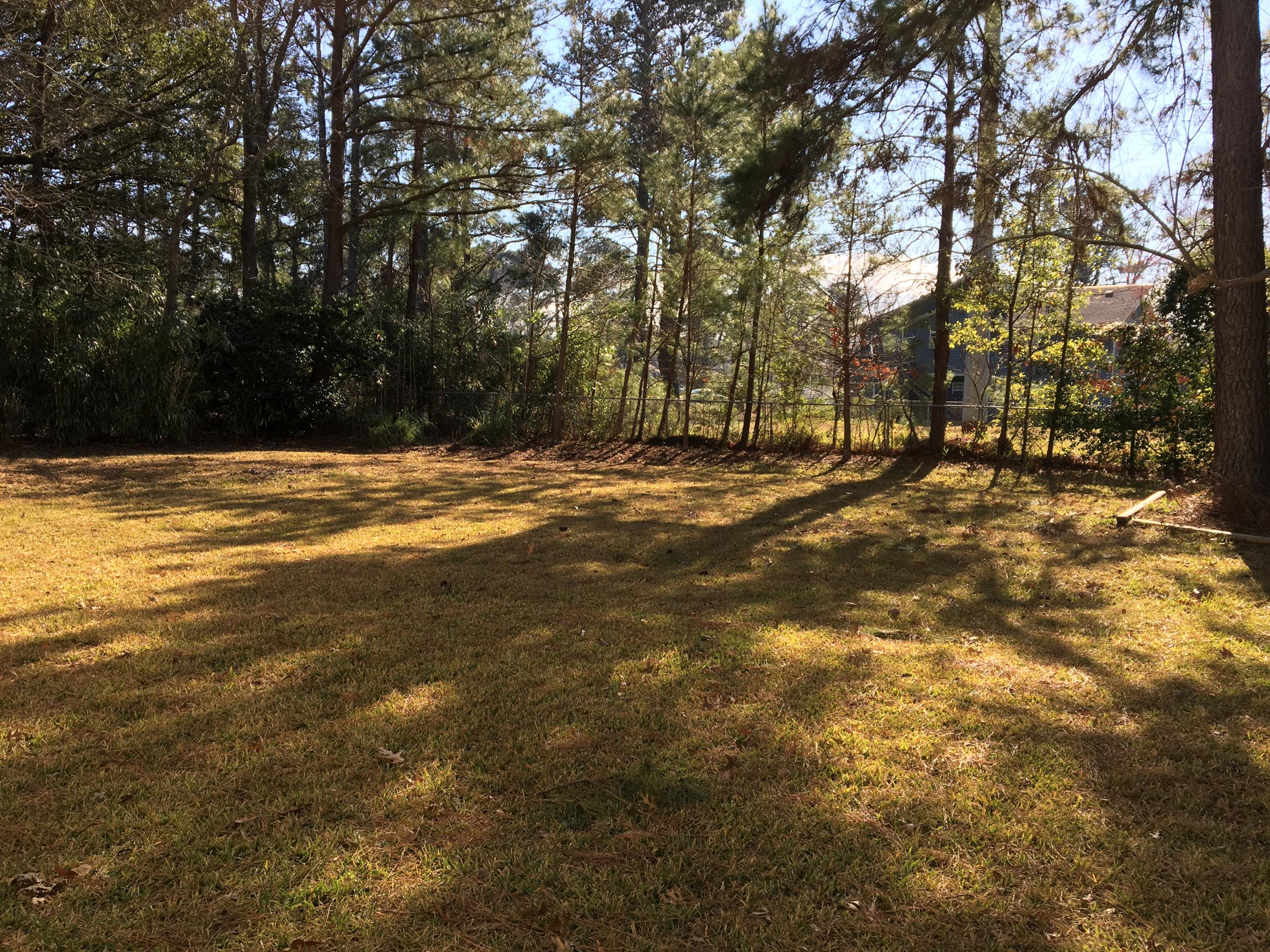 1788 Banbury Road Charleston, SC 29414 - Photo 29 of 29 Backyard