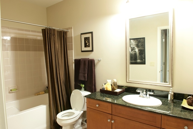 1801 Tower Drive, Unit E243 Glenview, IL 60026 - Photo 14 of 26 a bathroom with a granite countertop sink toilet a mirror a vanity and shower