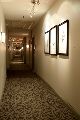 1801 Tower Drive, Unit E243 Glenview, IL 60026 - Photo 3 of 26