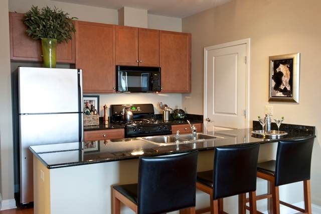 1801 Tower Drive, Unit E243 Glenview, IL 60026 - Photo 7 of 26 a kitchen with a sink refrigerator and cabinets