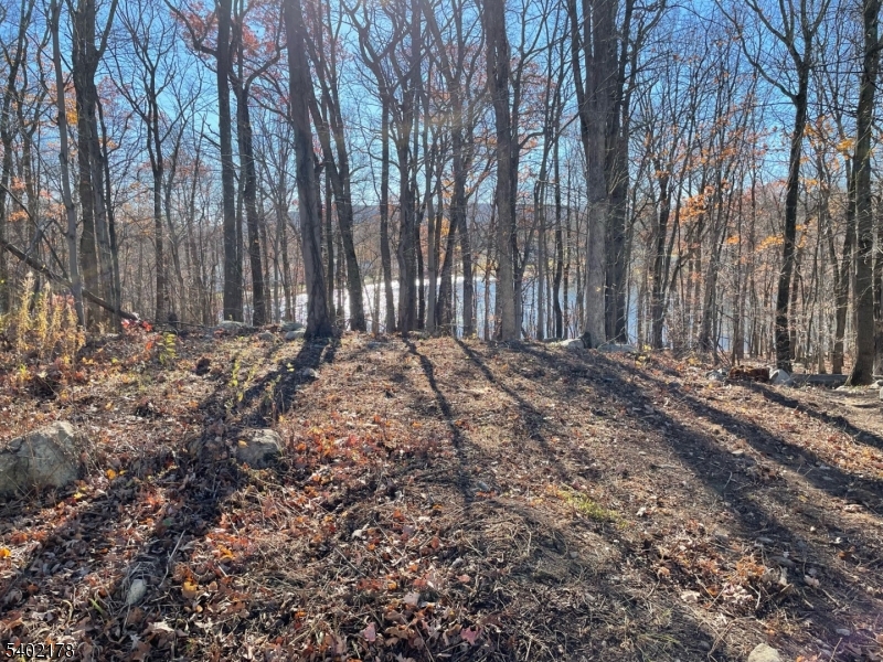 17 Rosemont Road Oak Ridge, NJ 07438 - Photo 3 of 3