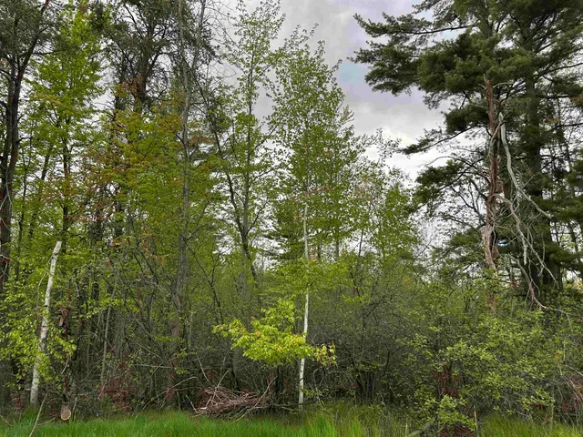 $33,400 | Mcgraw Street, Peshtigo, WI 54157
