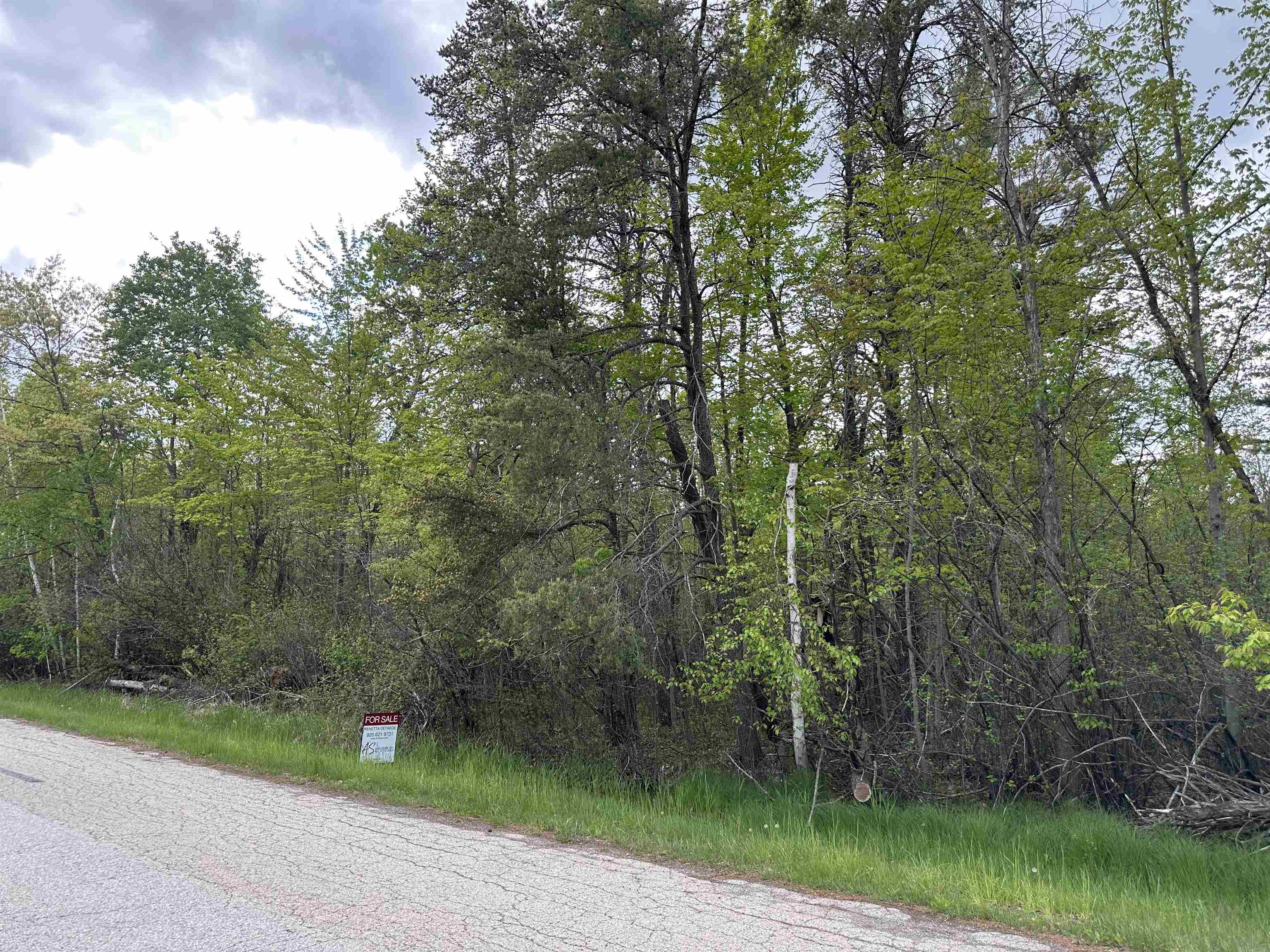 Mcgraw Street Peshtigo, WI 54157 - Photo 4 of 8