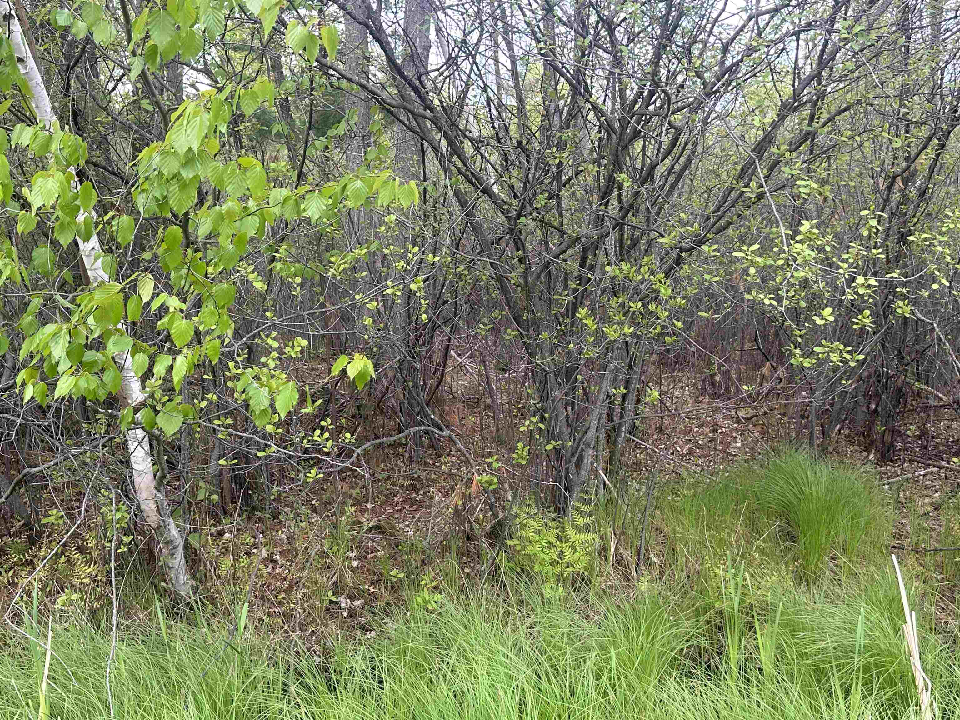 Mcgraw Street Peshtigo, WI 54157 - Photo 7 of 8