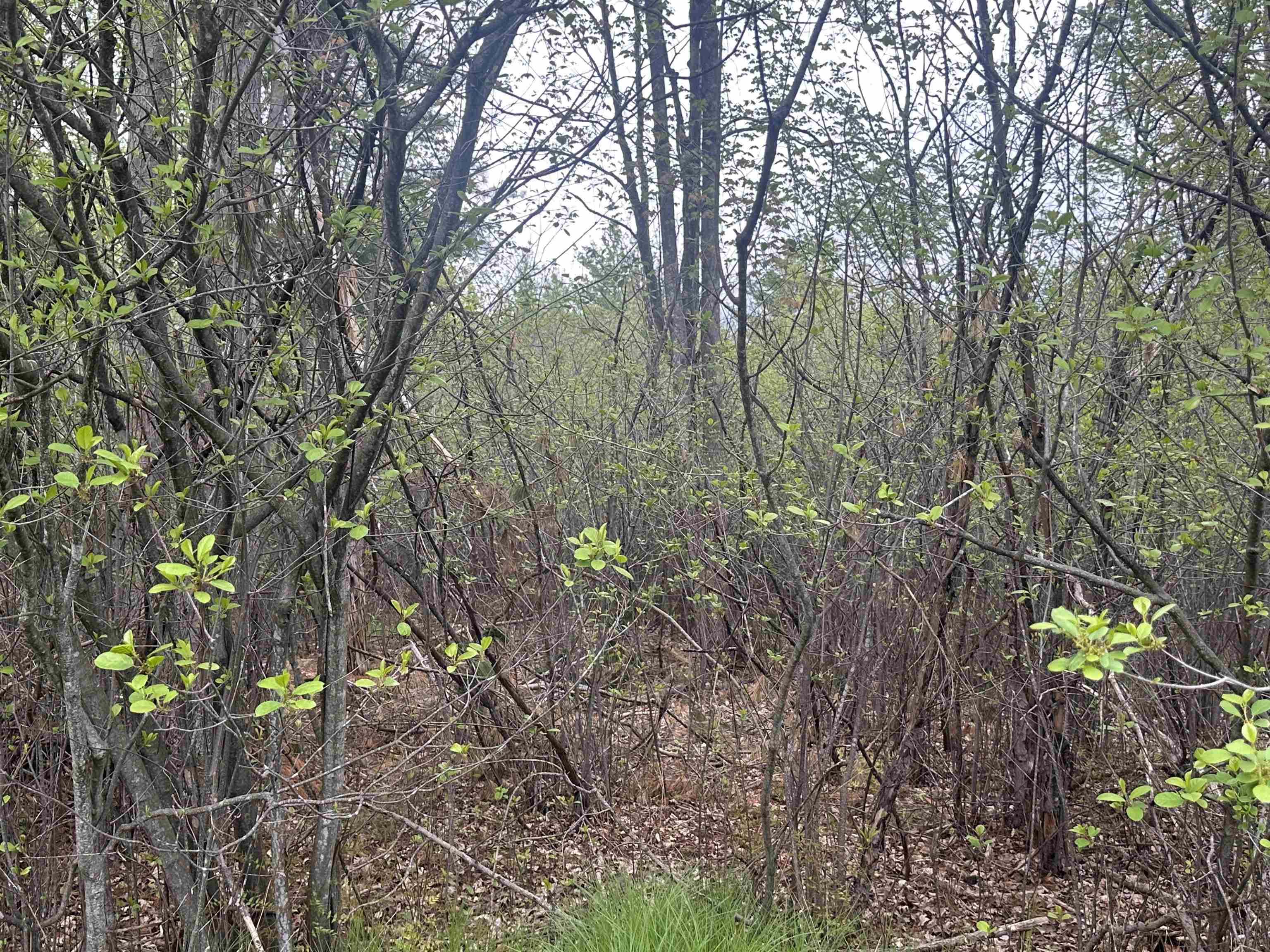 Mcgraw Street Peshtigo, WI 54157 - Photo 8 of 8