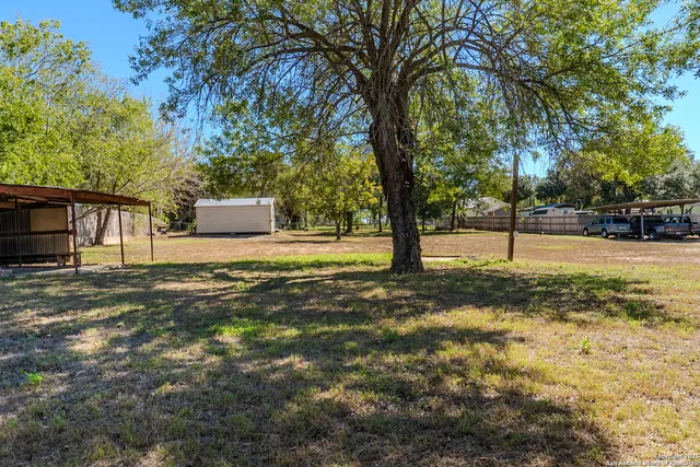 a view of a yard with a tree