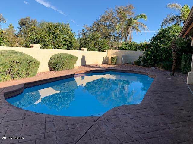 1056 West Iris Drive Gilbert, AZ 85233 - Photo 4 of 4 pool from west side